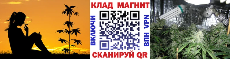 Виды наркотиков купить Ступино Галлюциногенные грибы Конопля Меф Амфетамин ГАШ omg ссылка КОКАИН