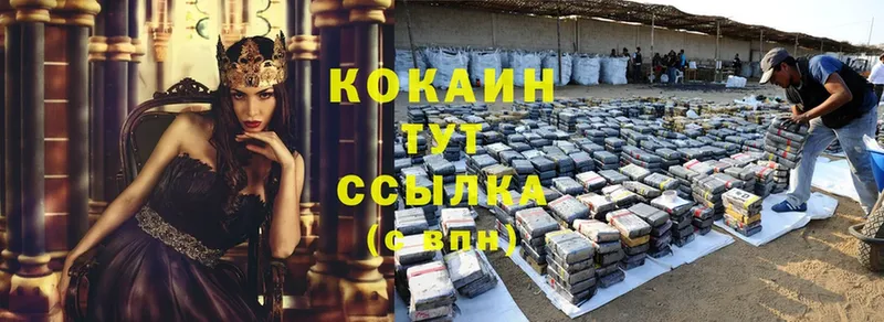 купить закладку  Ступино  Cocaine 98% 