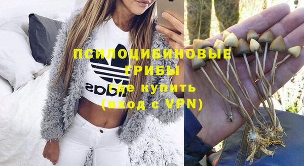 первитин Пестово