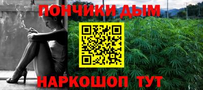 крисы Абакан