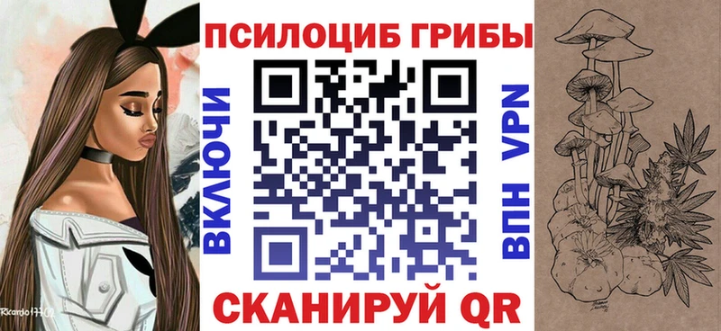 Псилоцибиновые грибы Psilocybine cubensis Ступино