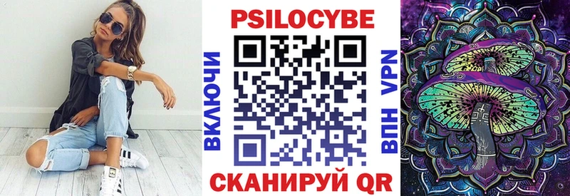 Псилоцибиновые грибы Cubensis Ступино