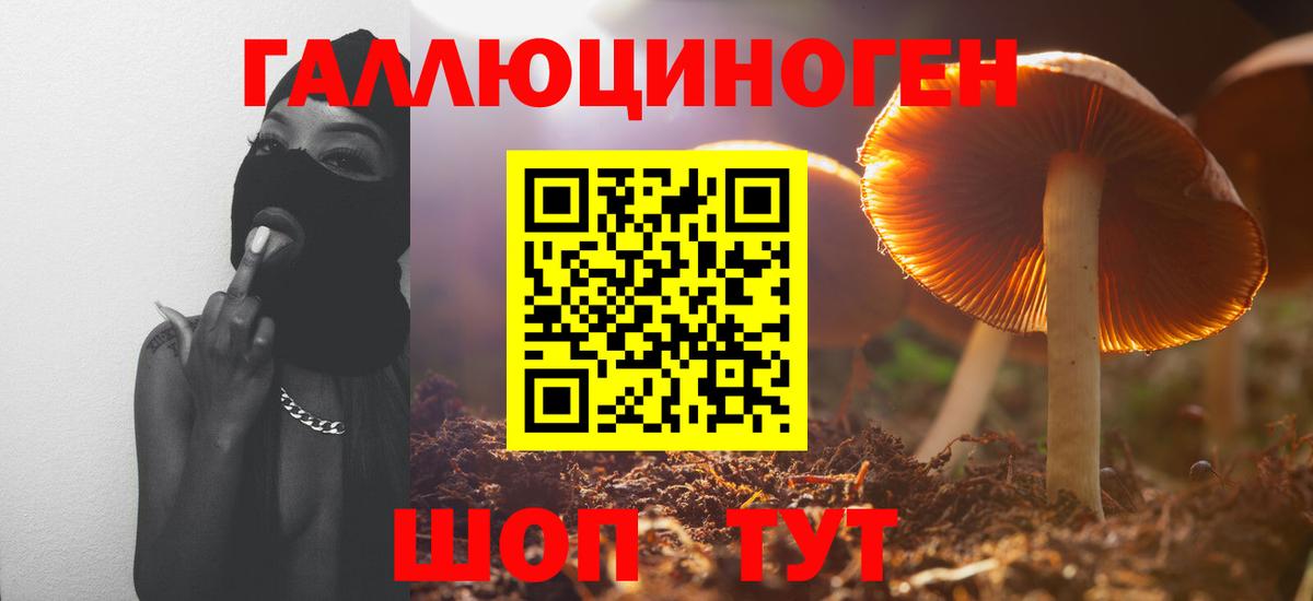 МЕФ Ступино