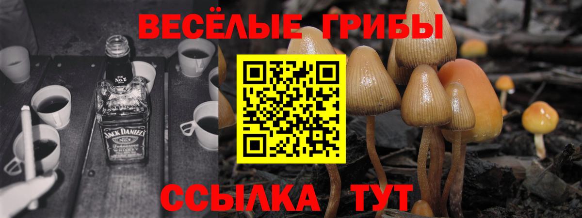 Псилоцибиновые грибы мухоморы  как найти закладки  Ступино  Вход с VPN 