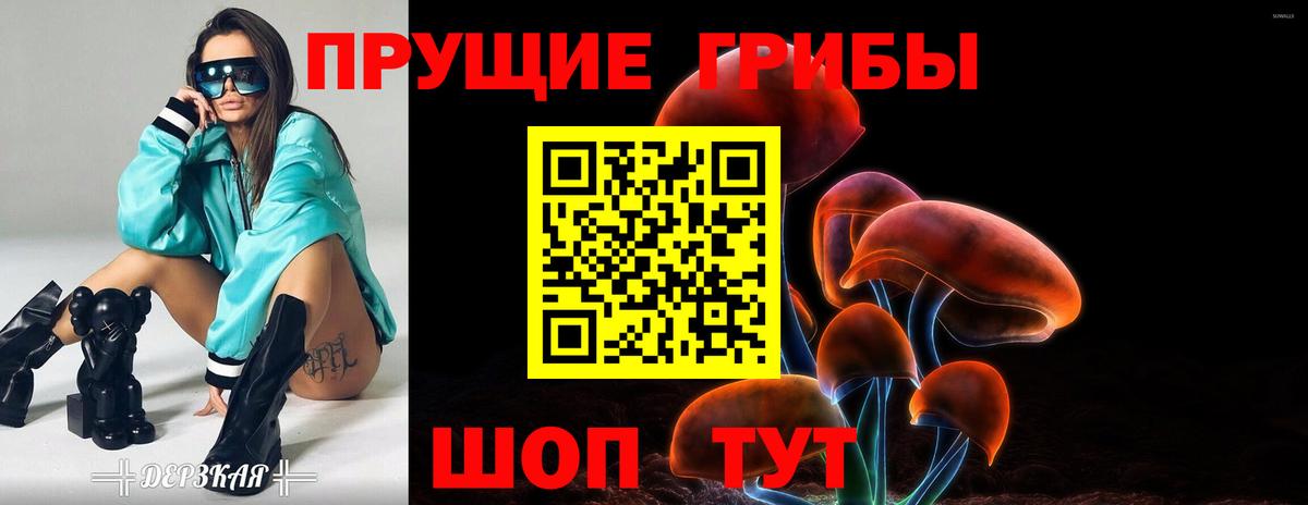 Галлюциногенные грибы Psilocybe  Ступино  Псилоцибиновые грибы мицелий 