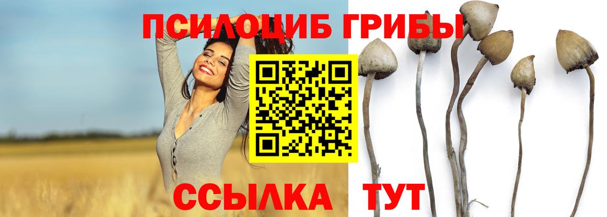 Галлюциногенные грибы ЛСД Ступино