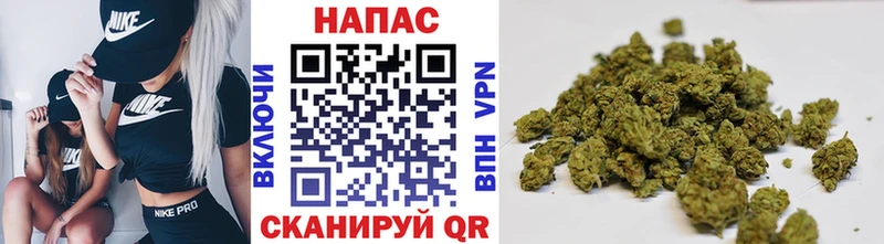 дарнет шоп  Ступино  гидра как войти  Каннабис семена 
