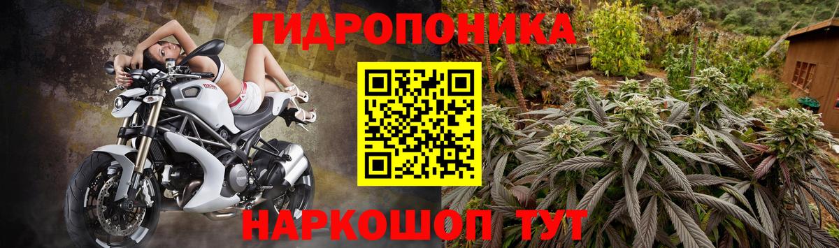 Марихуана ГИДРОПОН  Вход с VPN  Бошки марихуана Amnesia  Бошки марихуана Ganja  Конопля Bruce Banner  Ступино 